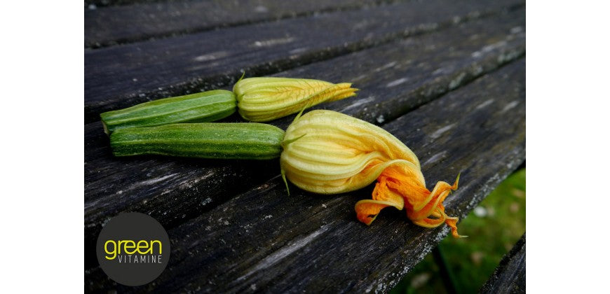 Beignets de fleurs de courgettes