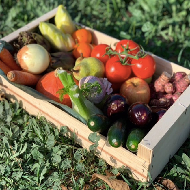 Box légumes de saison
