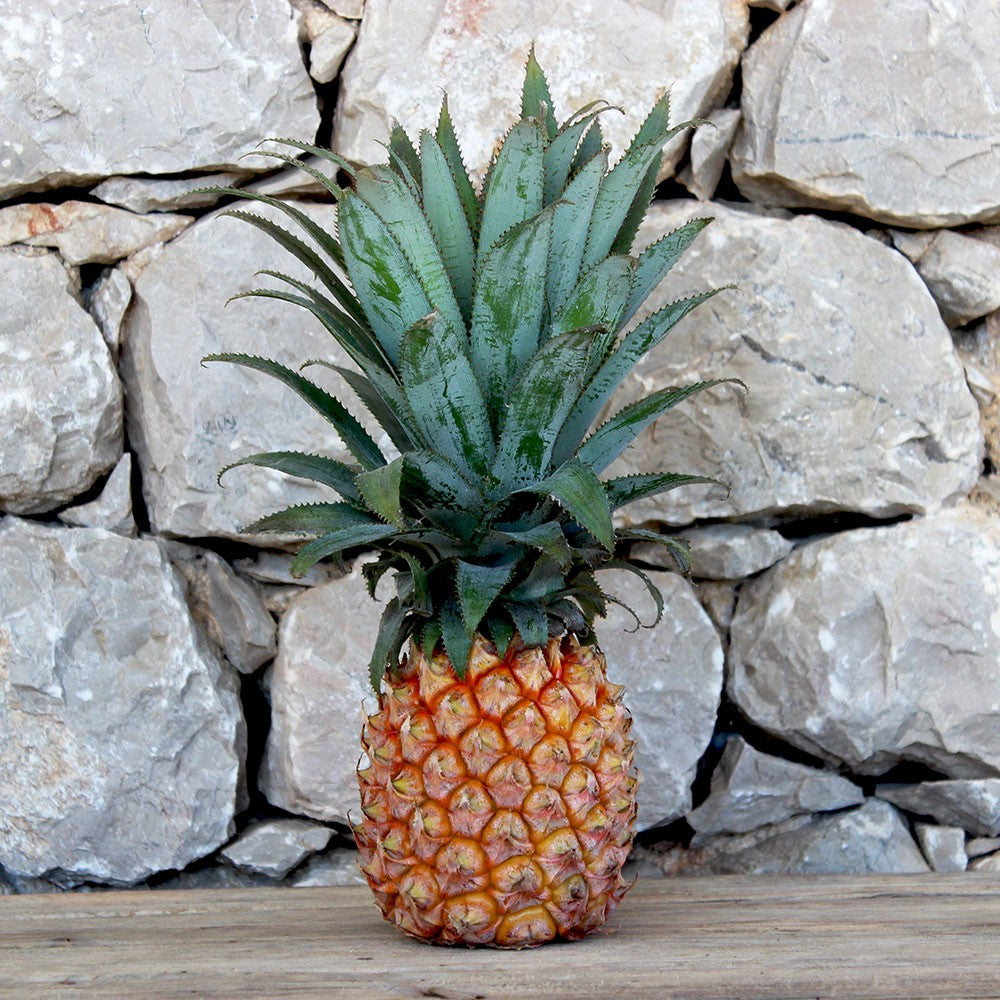 Ananas Victoria (Pièce)