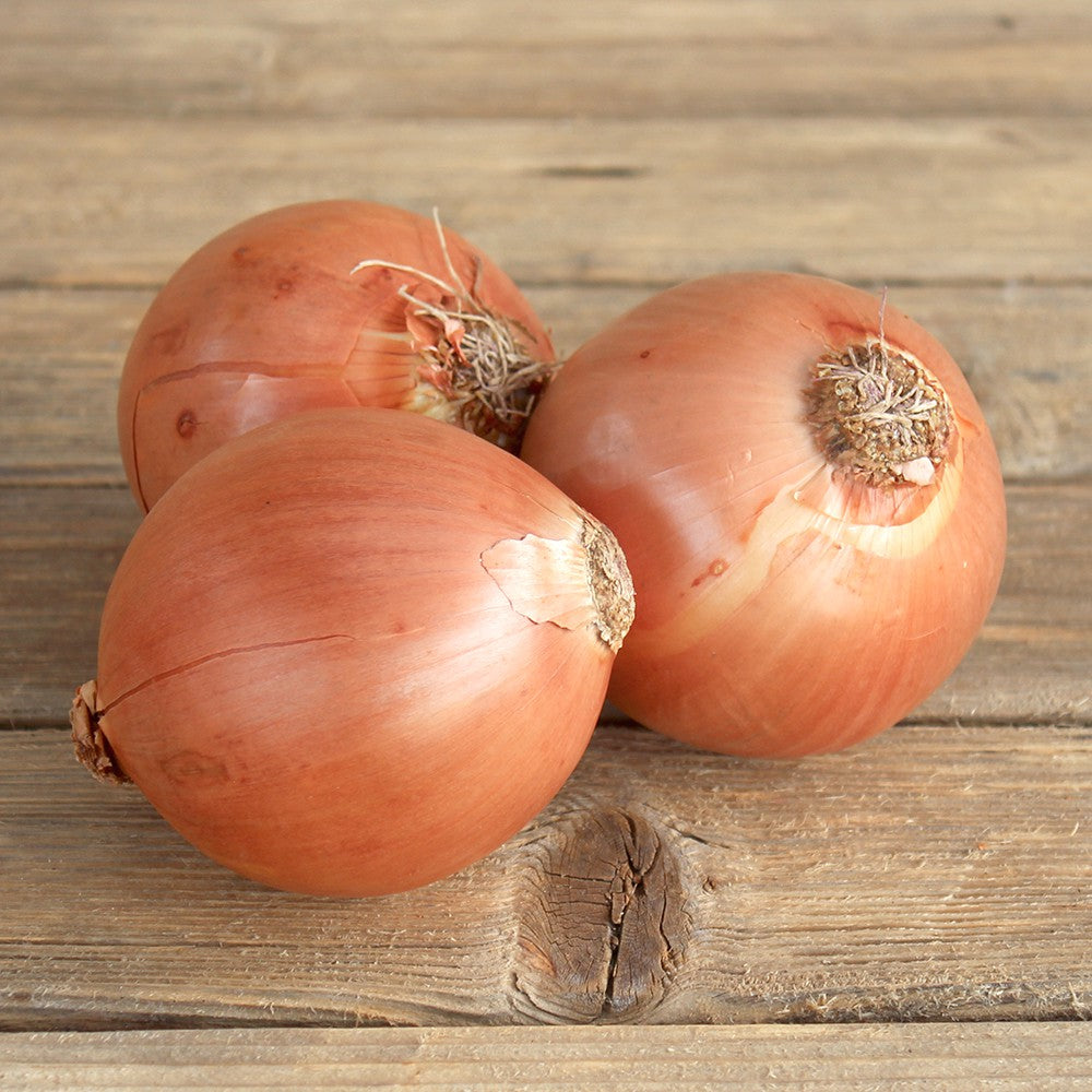 Oignon paille (500g environ 3 oignons)