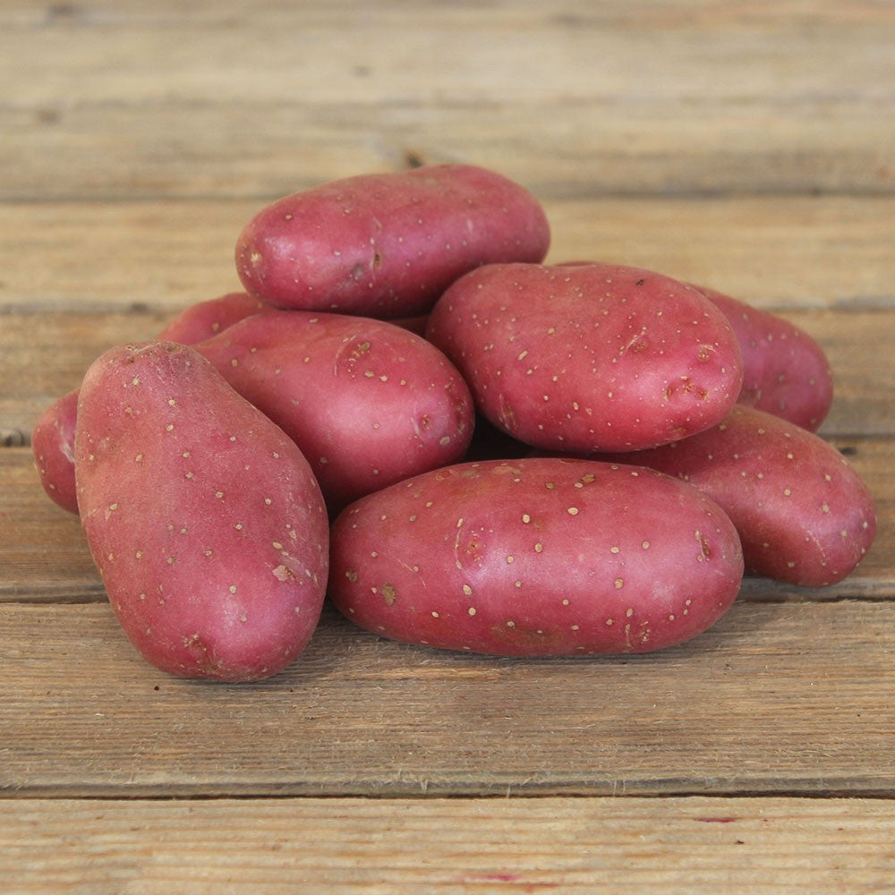 Pomme de terre Roseval (500g)