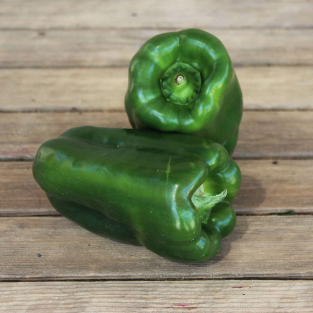 Poivron vert (Pièce environ 250g) Provence