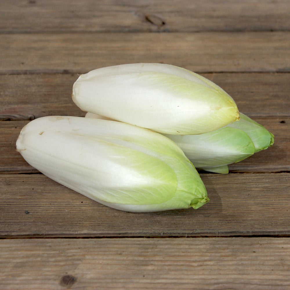 Endive (Pièce)