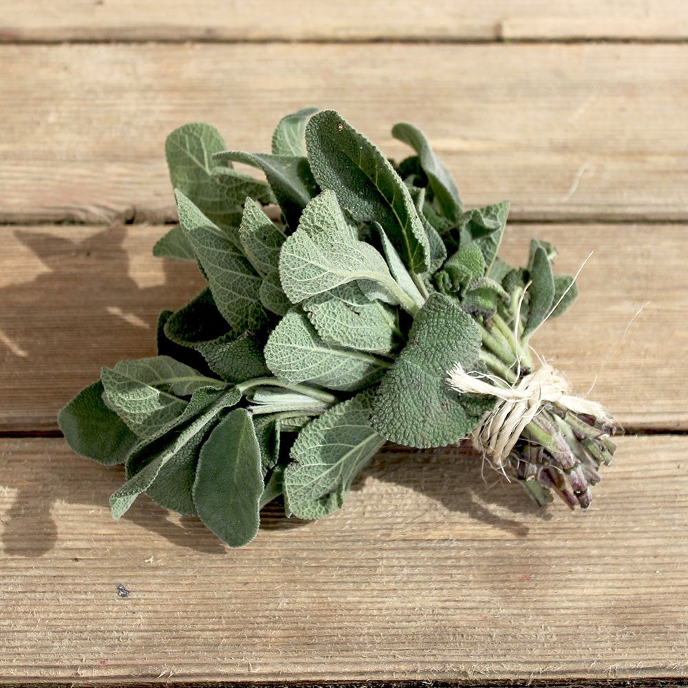 Sauge (Bouquet)