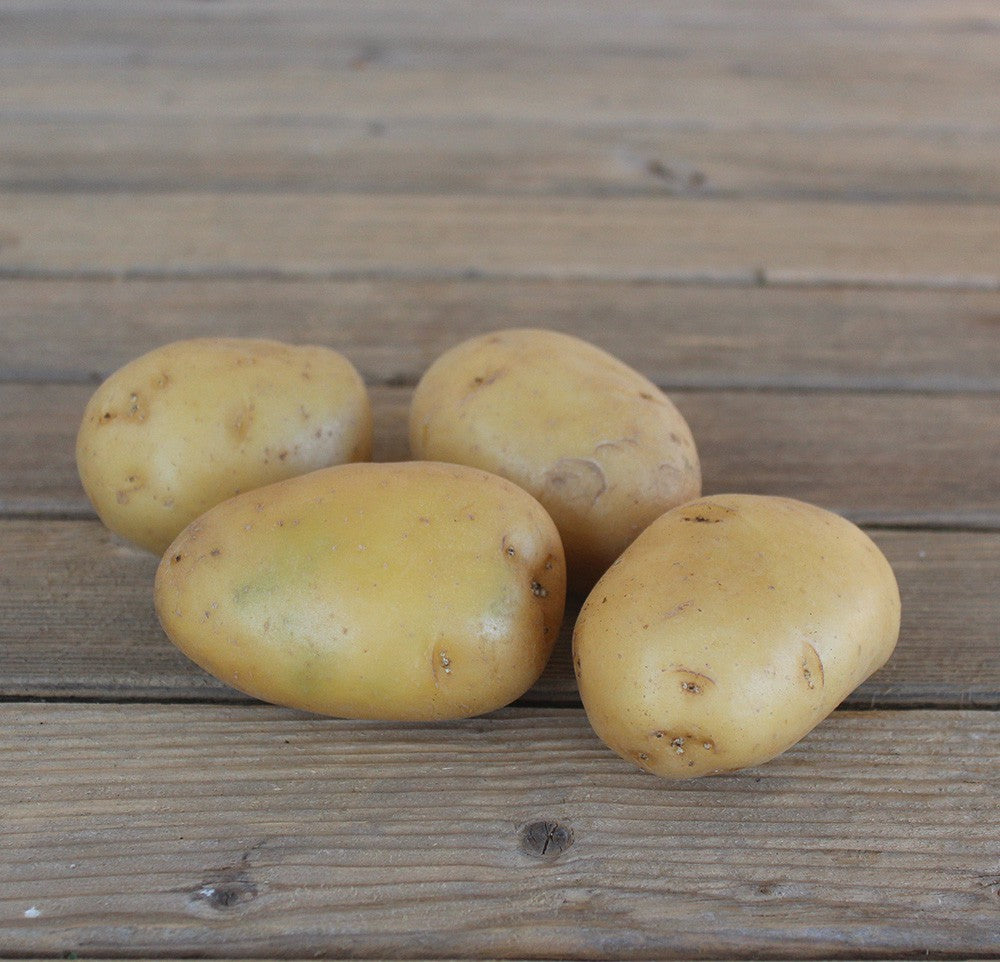 Pomme de terre Agata (500g) Provence
