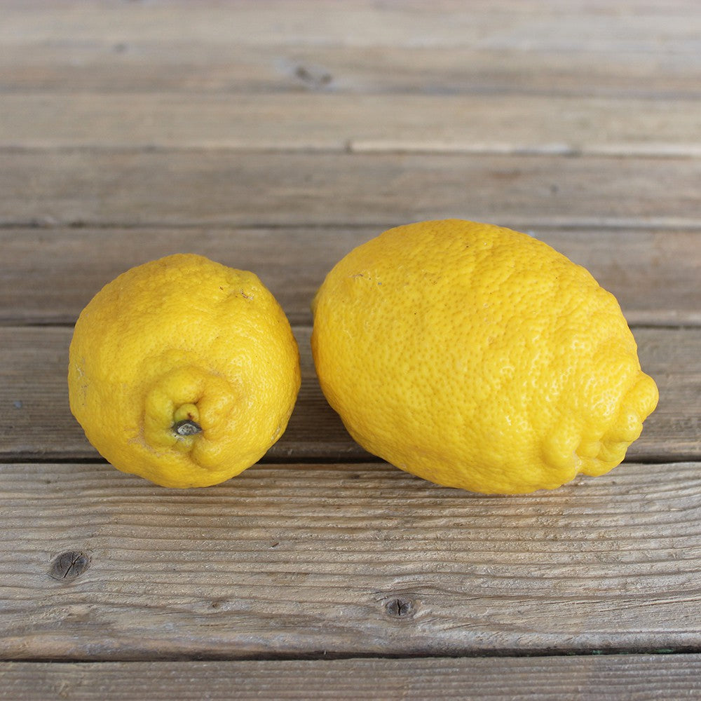 Citron Bio (Pièce)