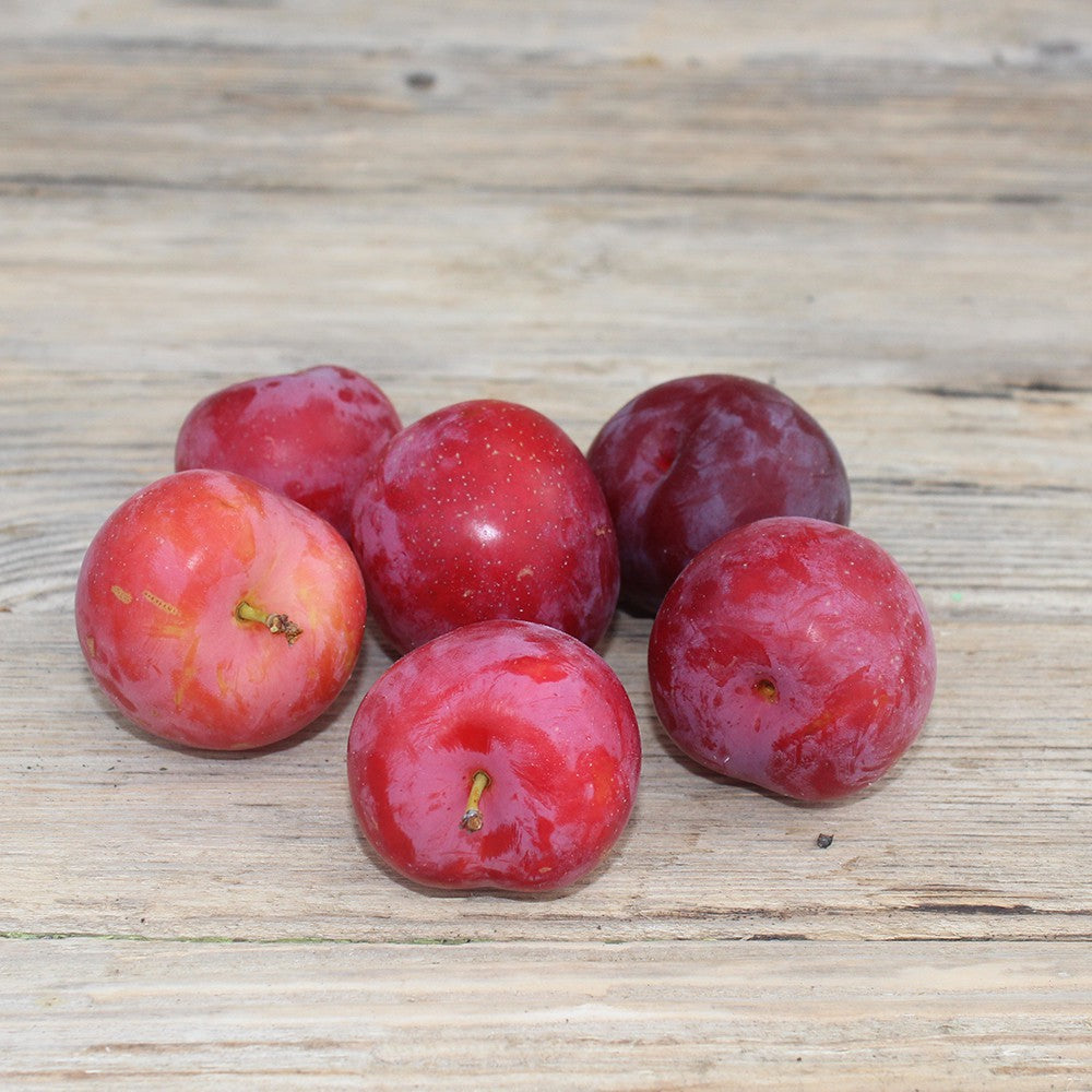 Prune (500g)