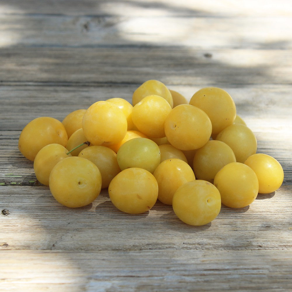 Prune jaune (500g)