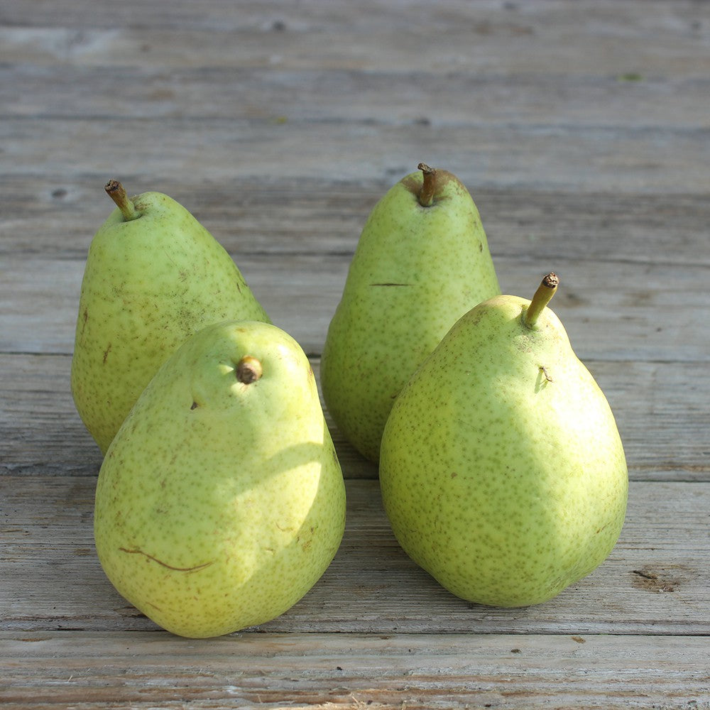 Poire Guyot (2 poires environ 500g) Provence