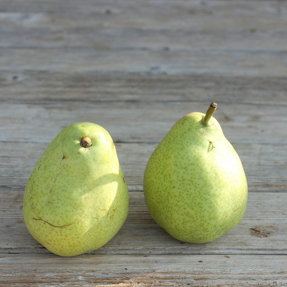 Poire Abate (2-3 poires environ 500g) Provence