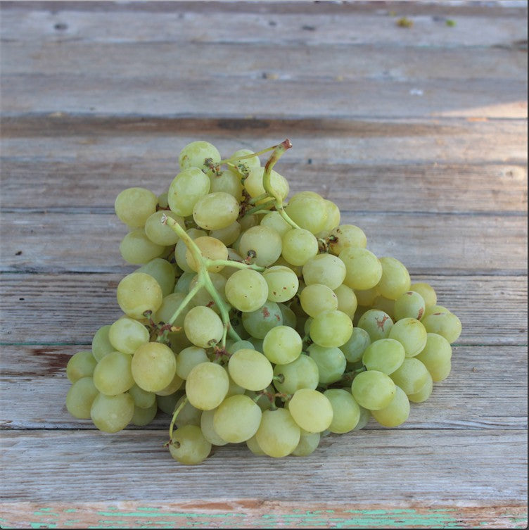 Raisin blanc d'Italie (500g)
