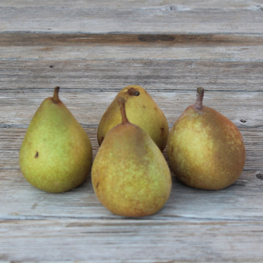 Poire Leclerc (4-5 poires 1 kg) Provence