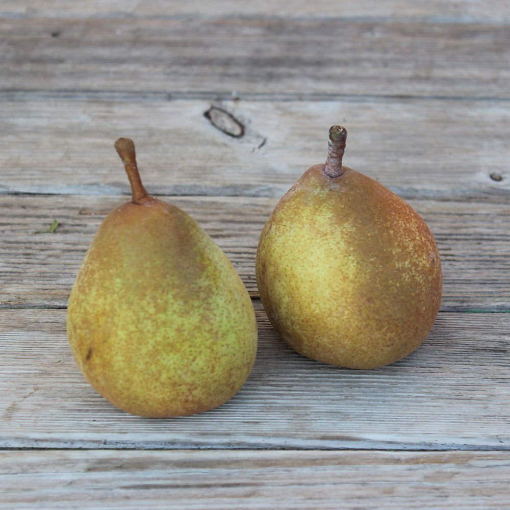 Poire Leclerc (2-3 poires environ 500g) Provence