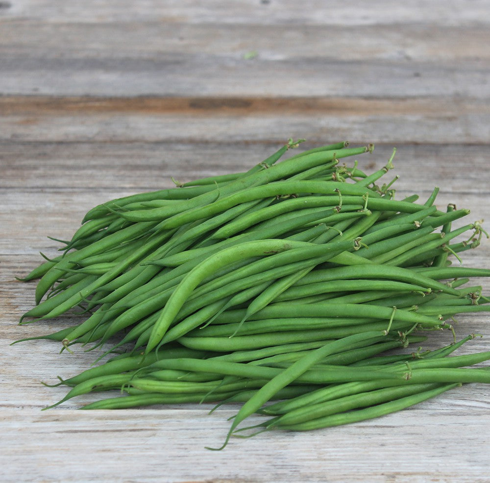 haricot vert fin (500g)