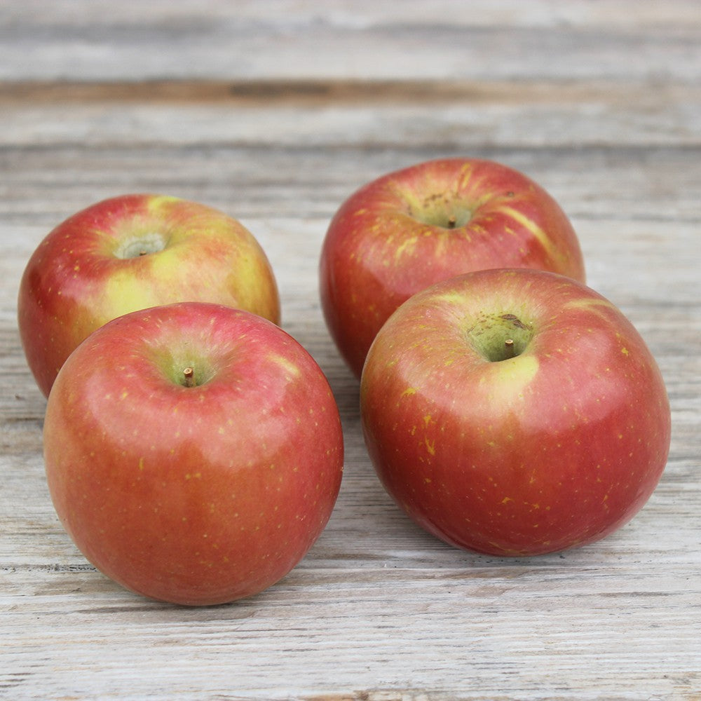 Pomme Gala (4 pommes) Provence