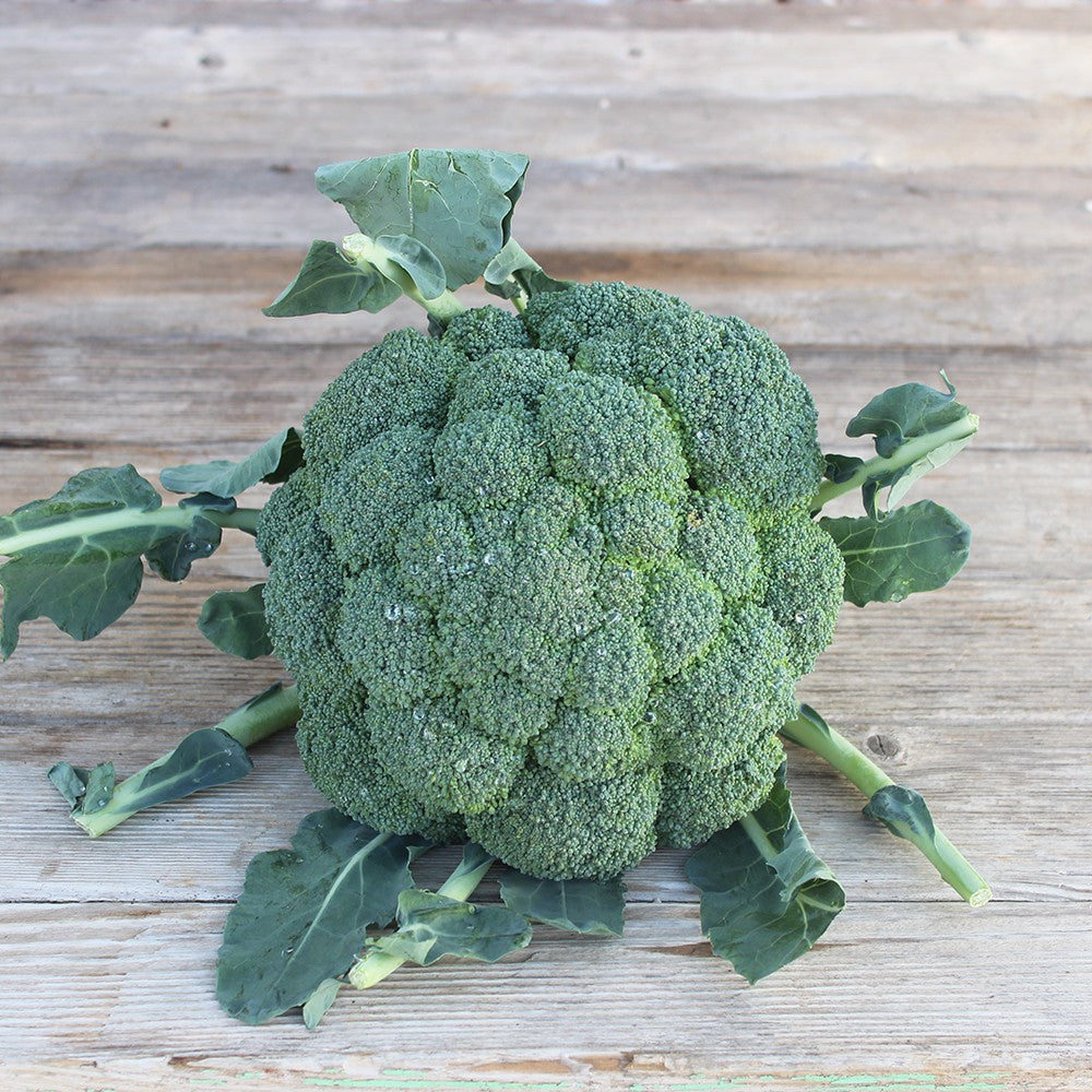 Brocoli (Pièce, environ 500g)