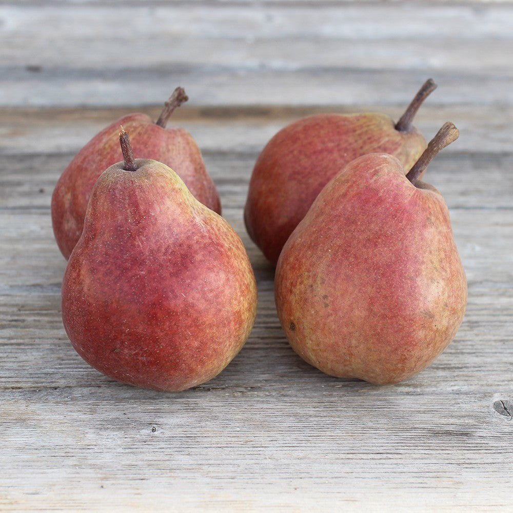 Poire Comice (4 poires) Provence 1 kg