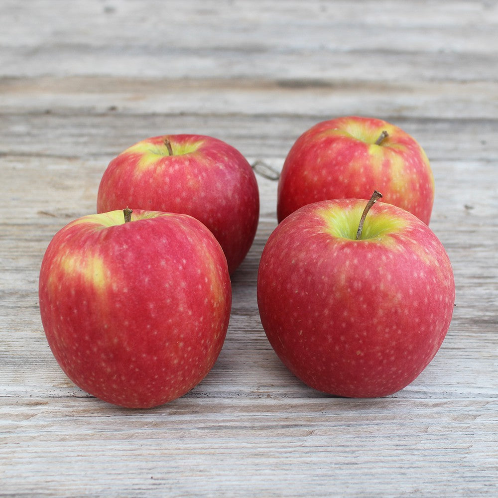 Pomme Pink Lady (4 pommes) Provence