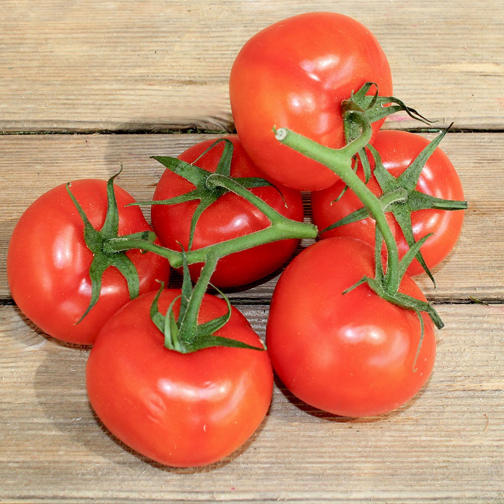 Tomate grappe (500g) Provence