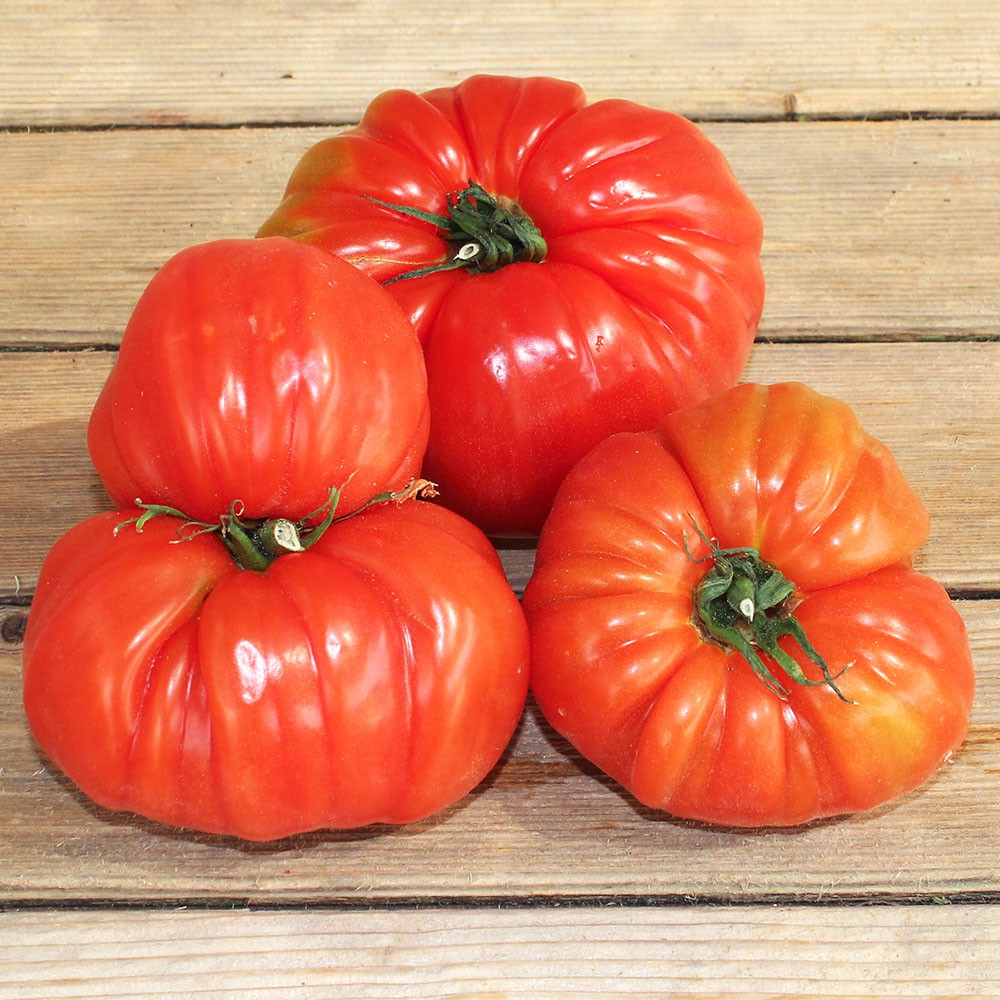 Tomate coeur de boeuf (600g) Provence