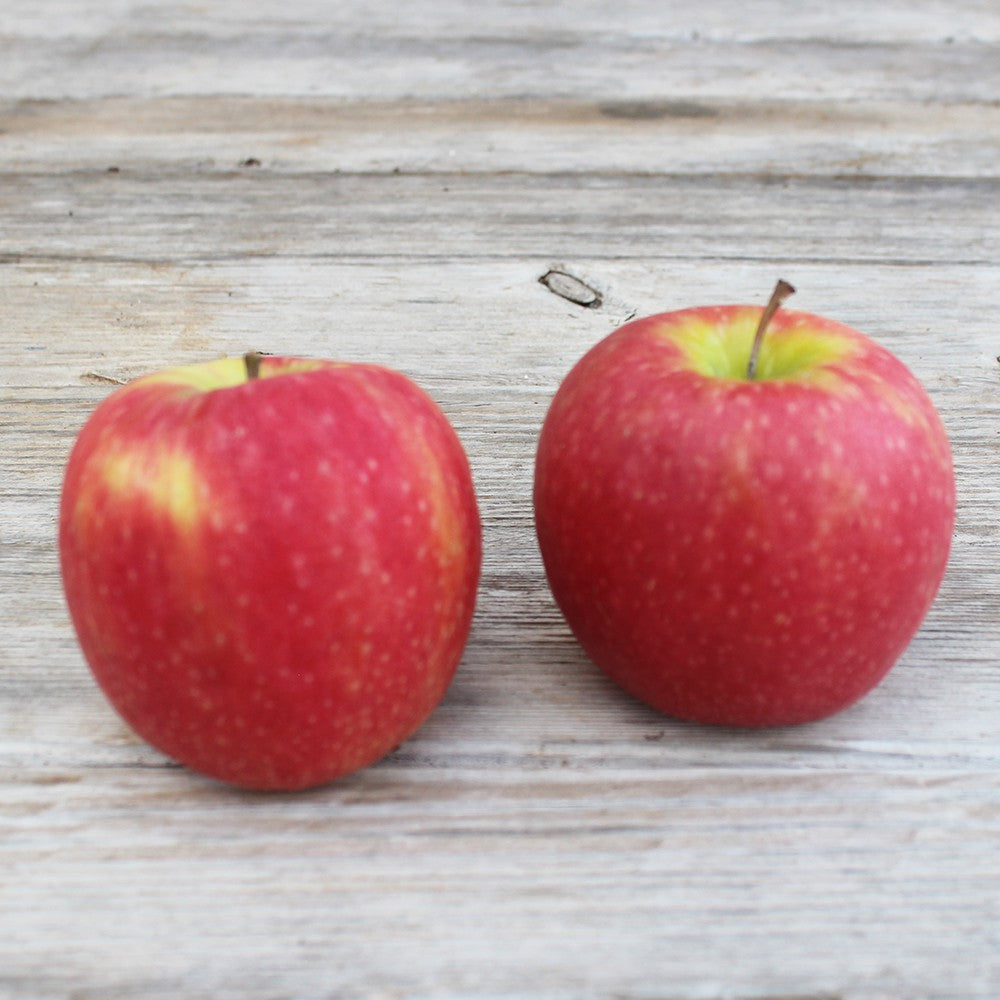 Pomme rouge Bio (500g)