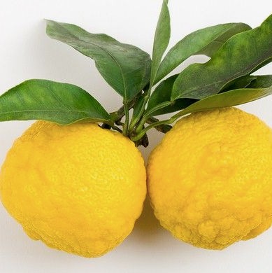 Citron non traité (Pièce)