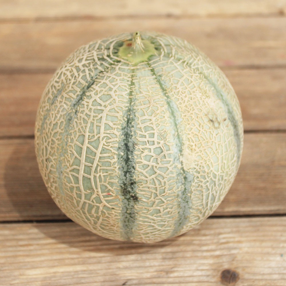 Melon de cavaillon (Pièce, environ 800g) Provence