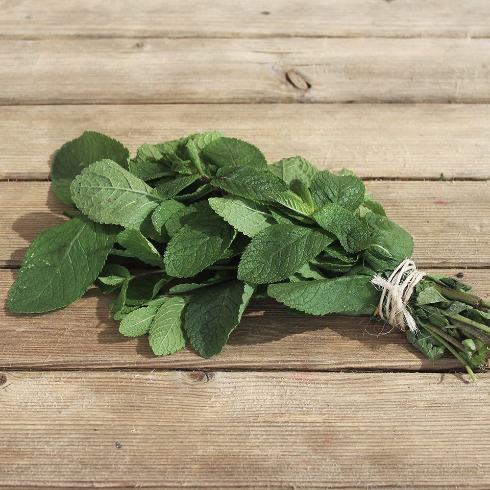 Menthe (Bouquet)