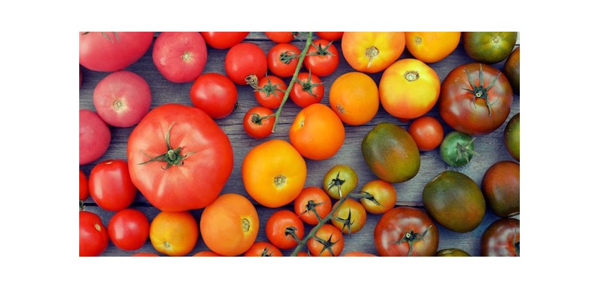 Le saviez-vous ? Spécial tomates !