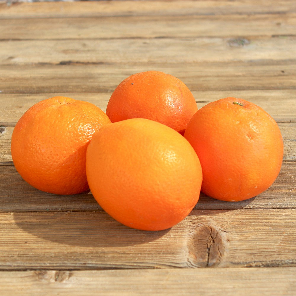 Orange à jus (500g)