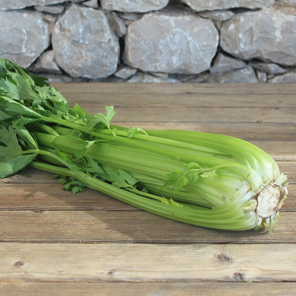 Celeri branche (Botte 1 kg)