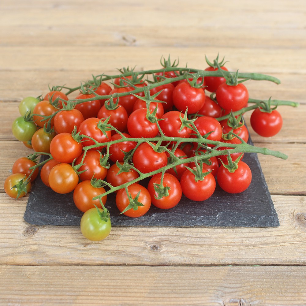 Tomate grappe cerise (300g) Provence