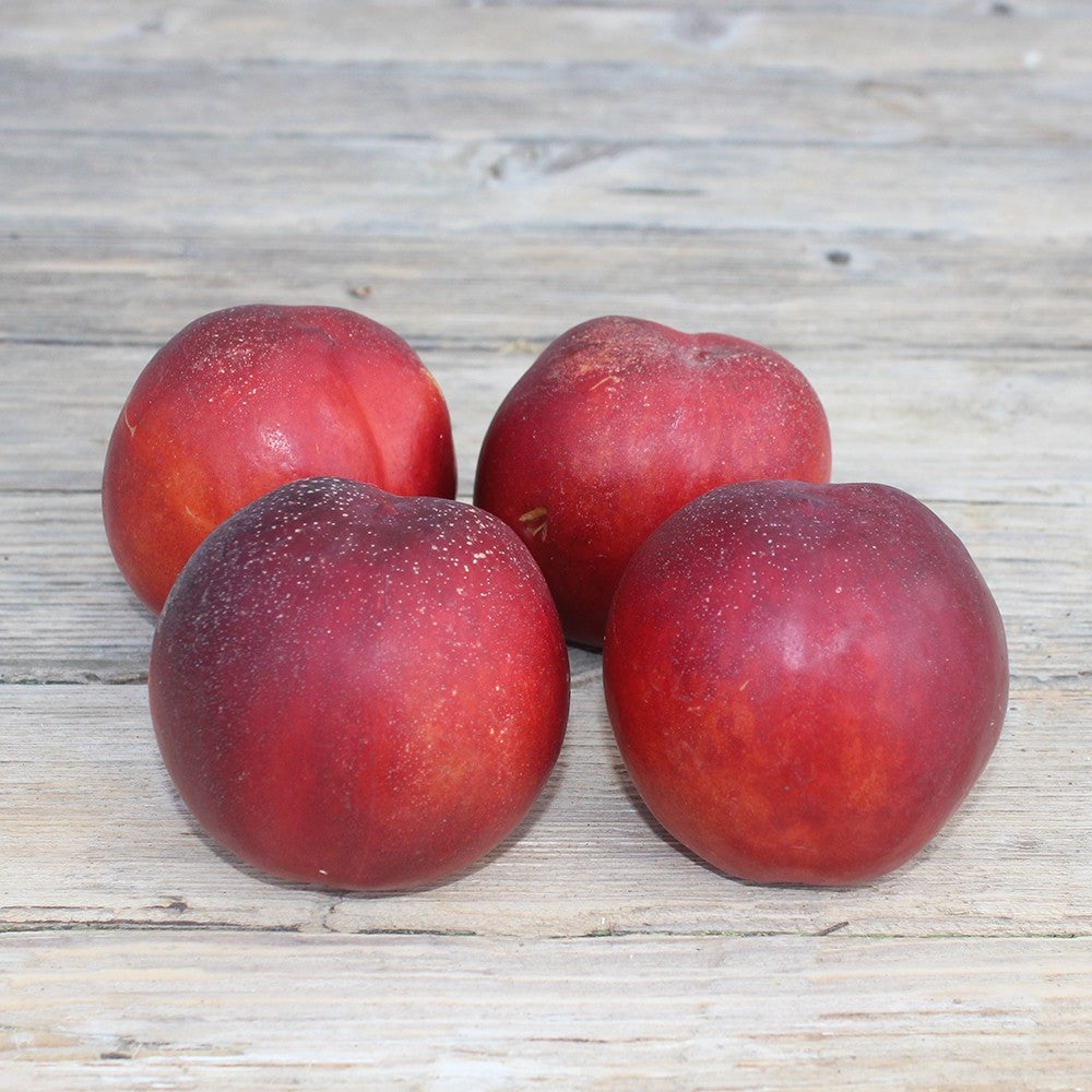 Nectarines blanches (1 kg) Provence