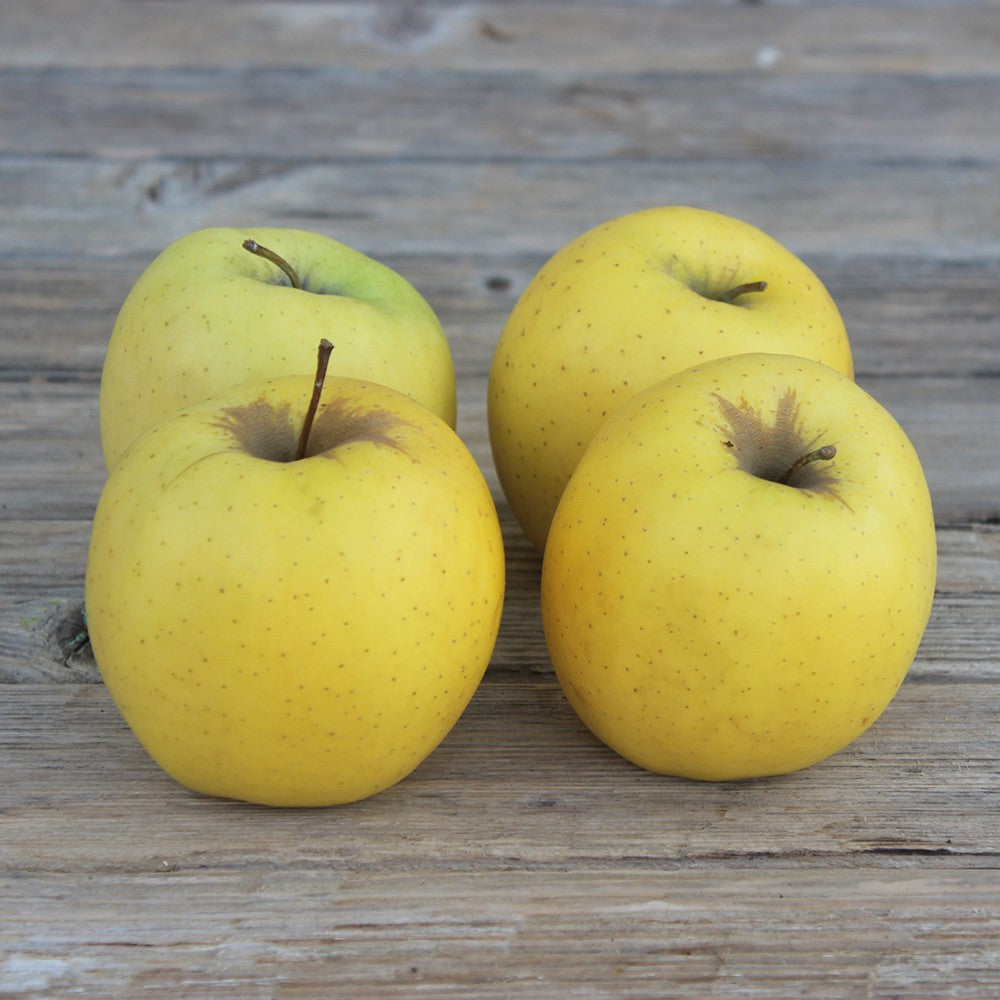 Pomme Golden (1 kg) Provence