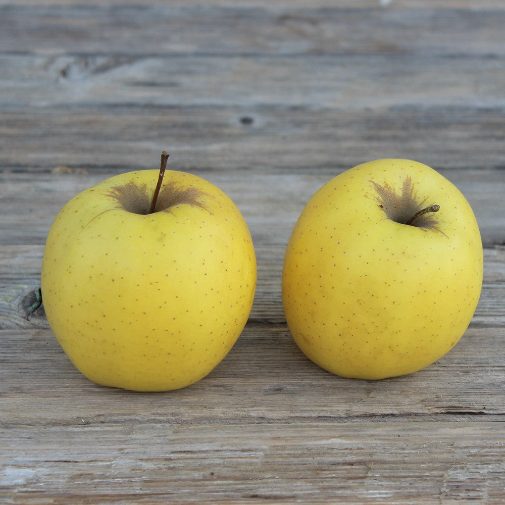 Pomme Golden (500 gr) Provence