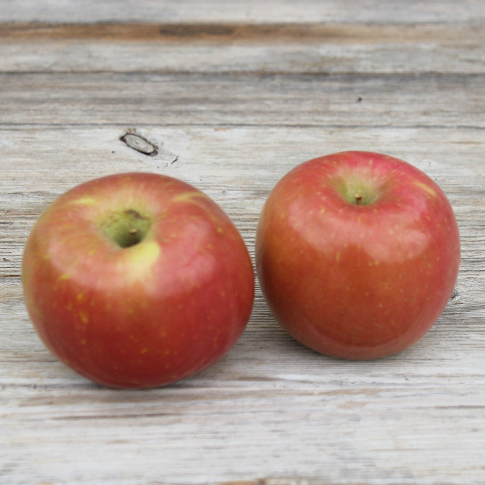 Pomme Gala (2 pommes) Provence